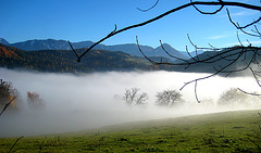 "Wanderung im Nebel" - Spaziergang auf den Predigtstuhl