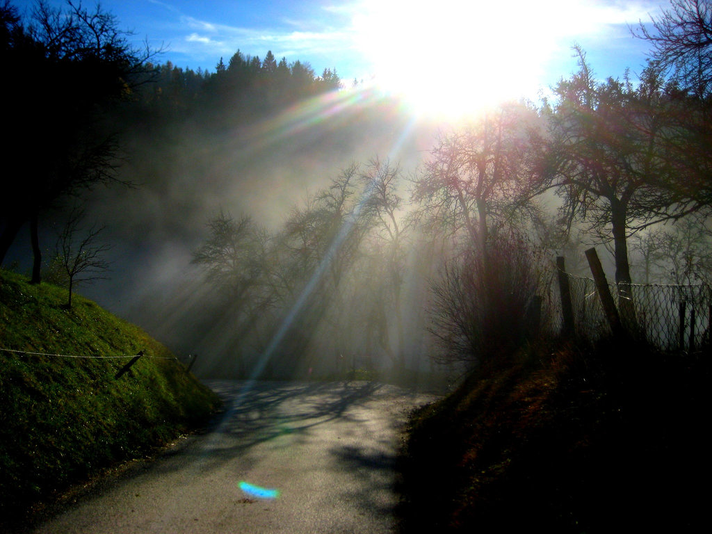 "Wanderung im Nebel" - Spaziergang auf den Predigtstuhl