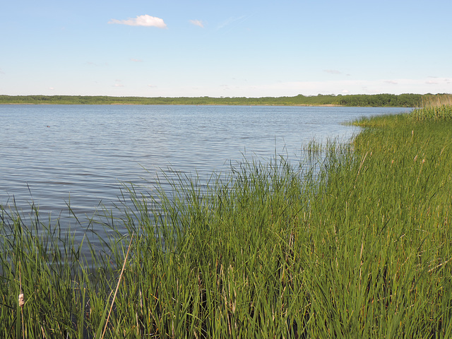 Rangsdorfer See