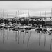 Porthmadog Harbour reflections
