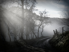 "Wanderung im Nebel" - Spaziergang auf den Predigtstuhl