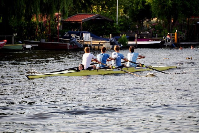 Rowing on the Rhine