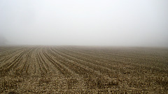 "Wanderung im Nebel" - Spaziergang auf den Predigtstuhl