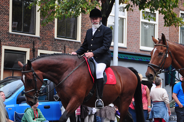 Leidens Ontzet 2011 – Parade horse