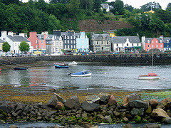 Tobermory Harbour