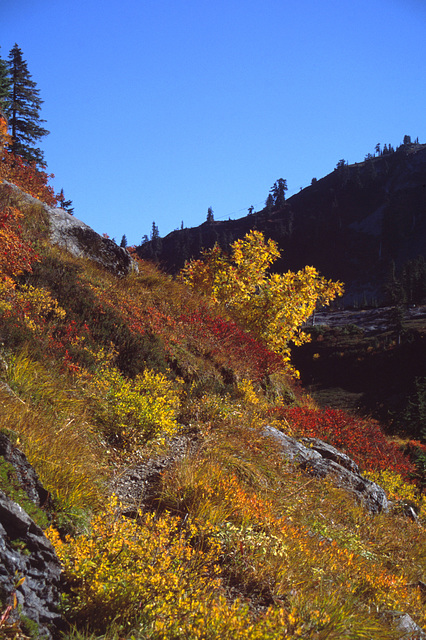 Autumn near Mount Baker