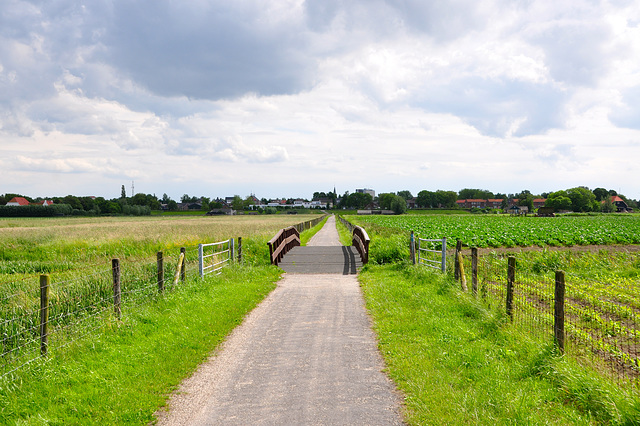 The road to the village of Benthuizen