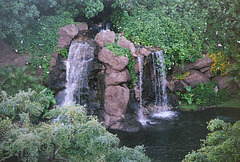 Hawaii, 2006