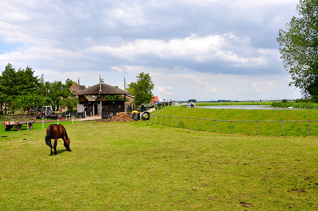 Dutch landscape