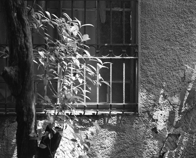 Window of an old house