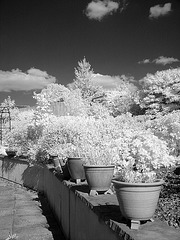 pots on the wall