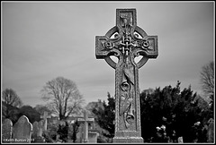 In memoriam - Highland Road Cemetery