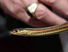 Red-sided Garter Snake