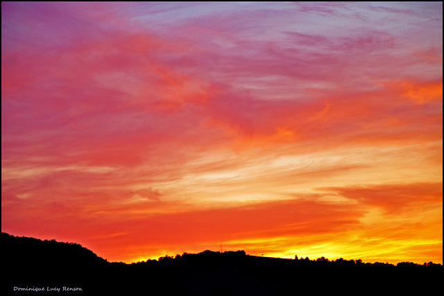 Diving in the sunset 3