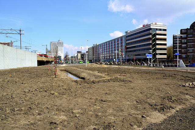 New garden