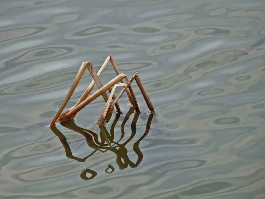 Water abstract