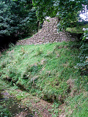 Wheeler's Wall