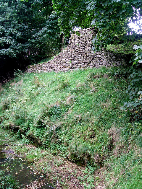 Wheeler's Wall