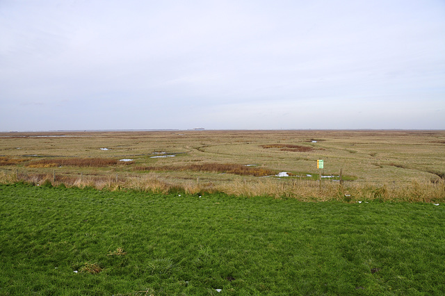 Zeeuws-Vlaanderen – The drowned land of Saeftinge