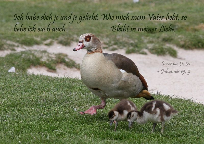 Spruchkarte 2/2014 - gedruckt