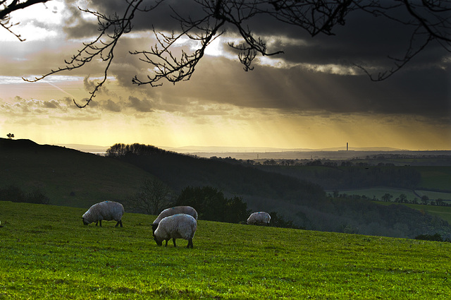 Winchester Hill, Hampshire