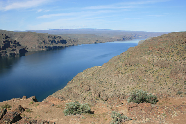 Columbia River/Wanapum Reservoir