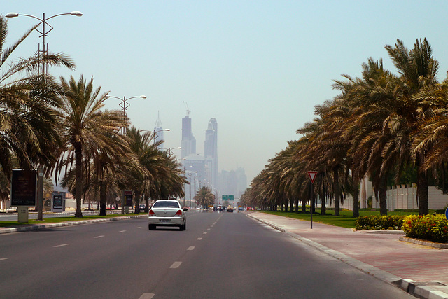 Dubai 2012 – Palm trees