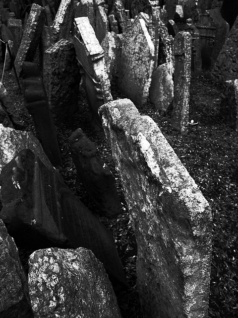 Prague Jewish Cemetery 2