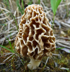 The Morel of the story is ...