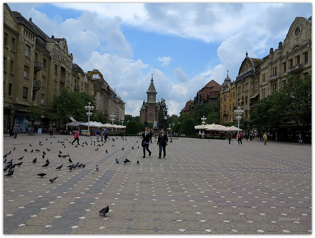 Plaza de la Victoria, en Timisoara