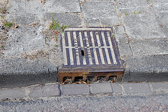 Drain cover of G.J. van de Broek of Haarlem