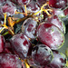 Red Grapes Under Water