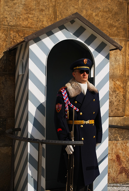 Prague Castle Gates 2