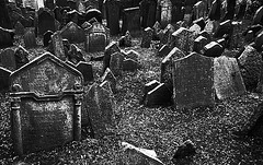 Prague Jewish Cemetery 3