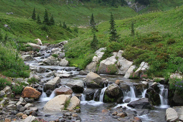 Edith Creek above Myrtle Falls