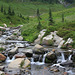 Edith Creek above Myrtle Falls