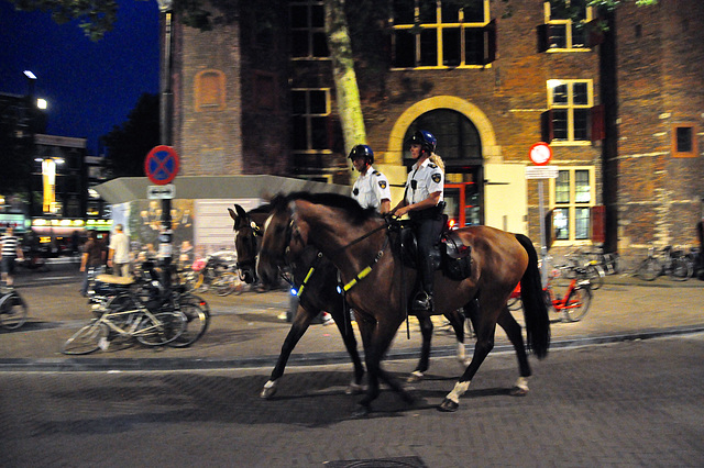 Mounted police in Amsterdam