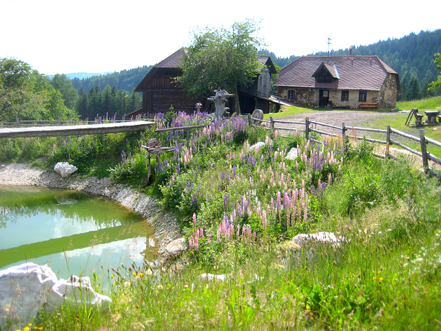 Beim Pistotnig, St. Leonhard