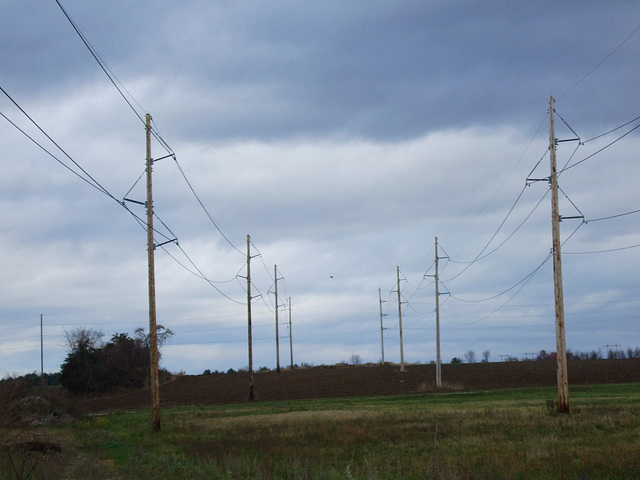 Across Fields - Looking North