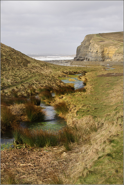 Southerndown Stream