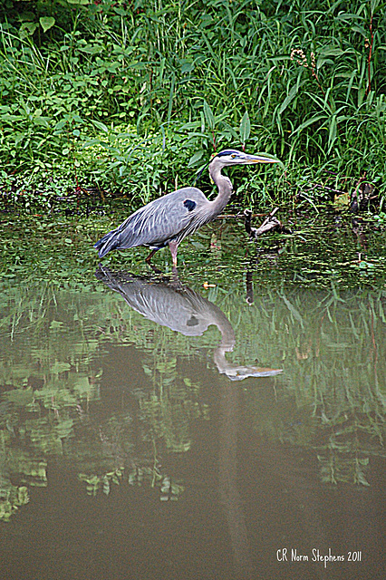 On the Canal