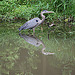 On the Canal