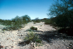13-w_of_lk_havasu-2-85_ig_adj