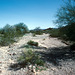 13-w_of_lk_havasu-2-85_ig_adj