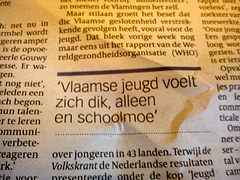 Vlaamse jeugd voelt zich dik, alleen en schoolmoe