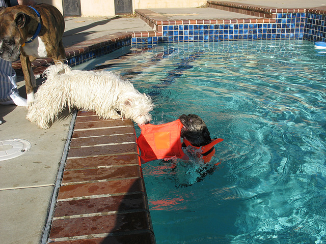 A little swim before the annual poker game. Christmas 2006