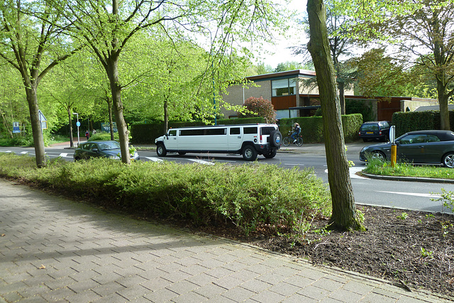 Stranded Hummer