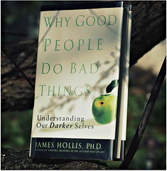 WHY GOOD PEOPLE DO BAD THINGS