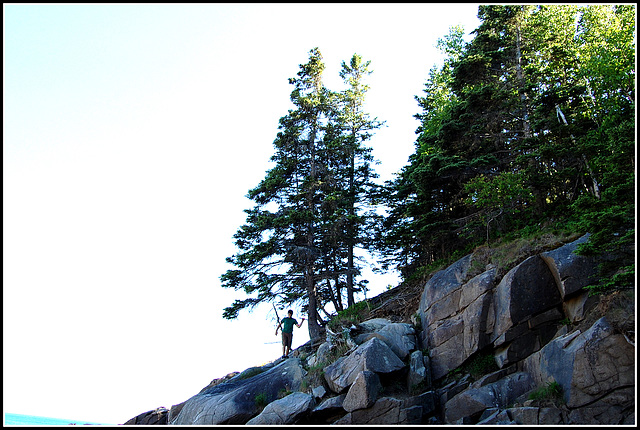 Acadia Maine