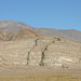 Mafic dikes in Proterozoic(?) carbonates, Inyo Mtns, CA